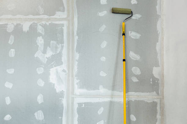 Best Commercial Mold Inspection  in Conroe, TX