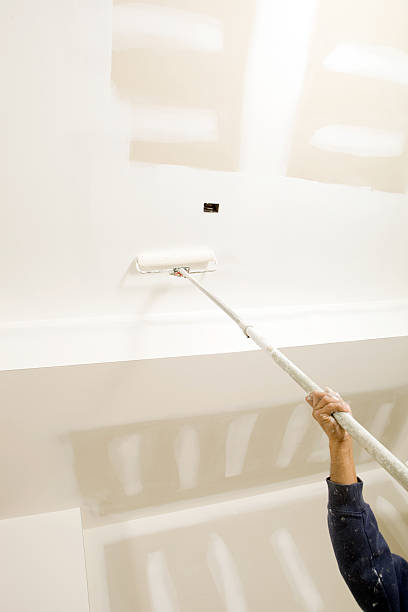 Trusted Conroe, TX Mold Removal Experts